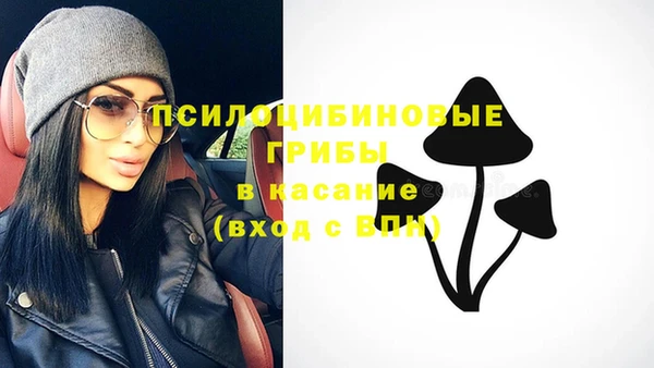 ПСИЛОЦИБИНОВЫЕ ГРИБЫ Покров