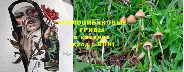 марихуана Покачи