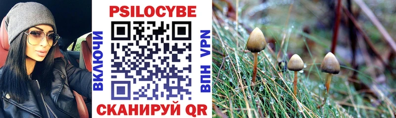 Галлюциногенные грибы прущие грибы Соликамск